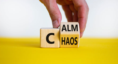 HOLIDAY BREAK SERIES-12/18/25-1/5/26: From Chaos to Calm: Mastering Classroom Management, Improving Student Behavior, and Increasing Teacher Resiliency (Graduate Credit Available)