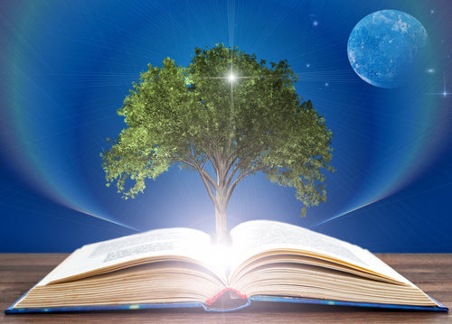 3/15/26-4/11/26: Turning Pages, Changing Lives: Using Literature for Social Impact in Education (Graduate Credit Available)