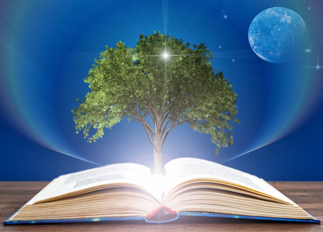 3/15/26-4/11/26: Turning Pages, Changing Lives: Using Literature for Social Impact in Education (Graduate Credit Available)